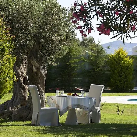 Yria Ktima Luxury 别墅 *